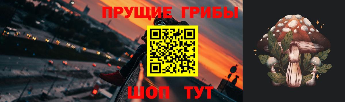 Псилоцибиновые грибы Magic Shrooms  Вход с VPN  Псилоцибиновые грибы GOLDEN TEACHER  Вичуга 
