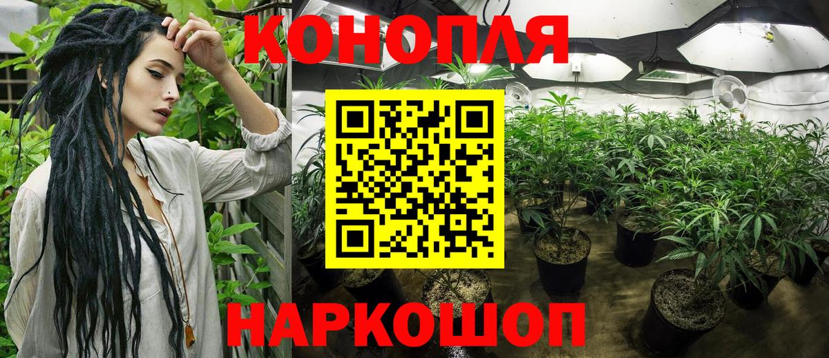 Бошки Шишки семена  Канабис марихуана  Вход с VPN  Вичуга  Бошки Шишки White Widow 